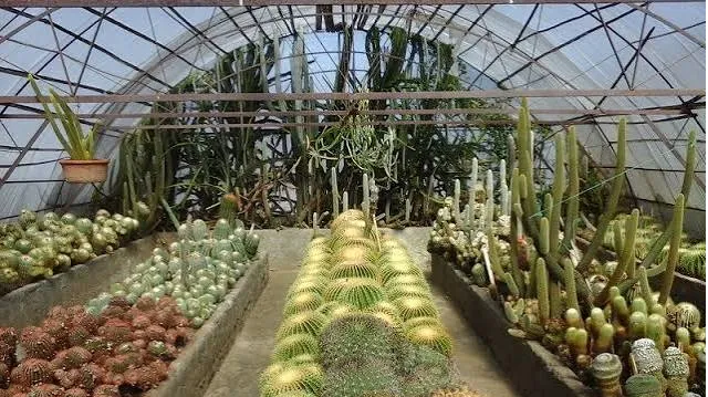 Pine View Nursery